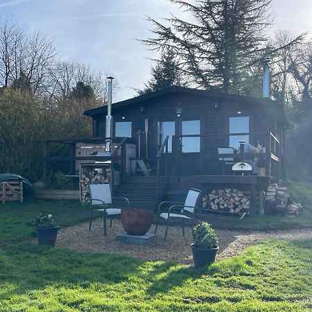 Cosy Cabin In Annie'S Meadow West Meon Exteriör bild