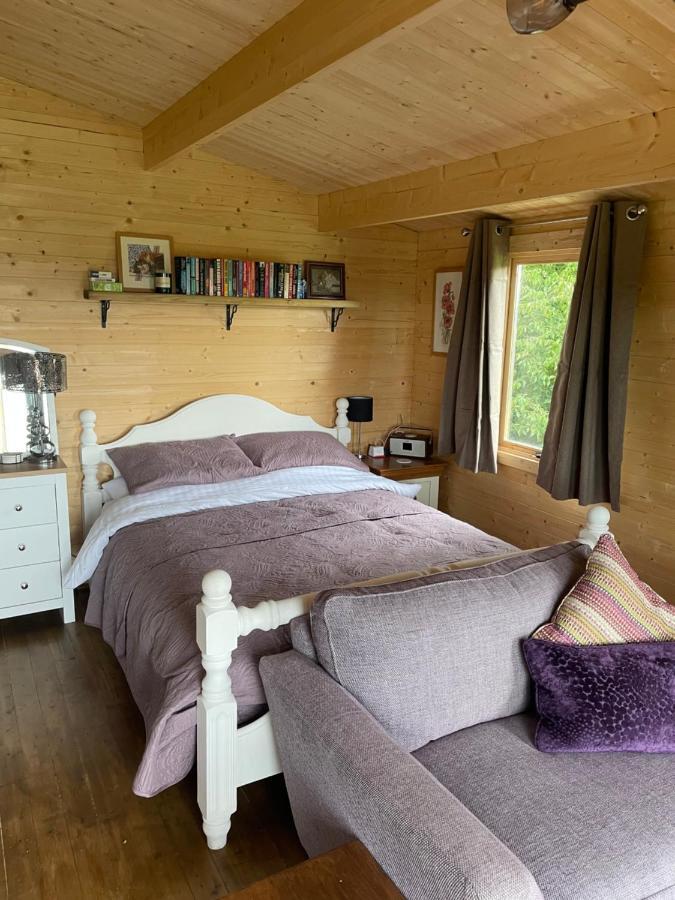 Cosy Cabin In Annie'S Meadow West Meon Exteriör bild