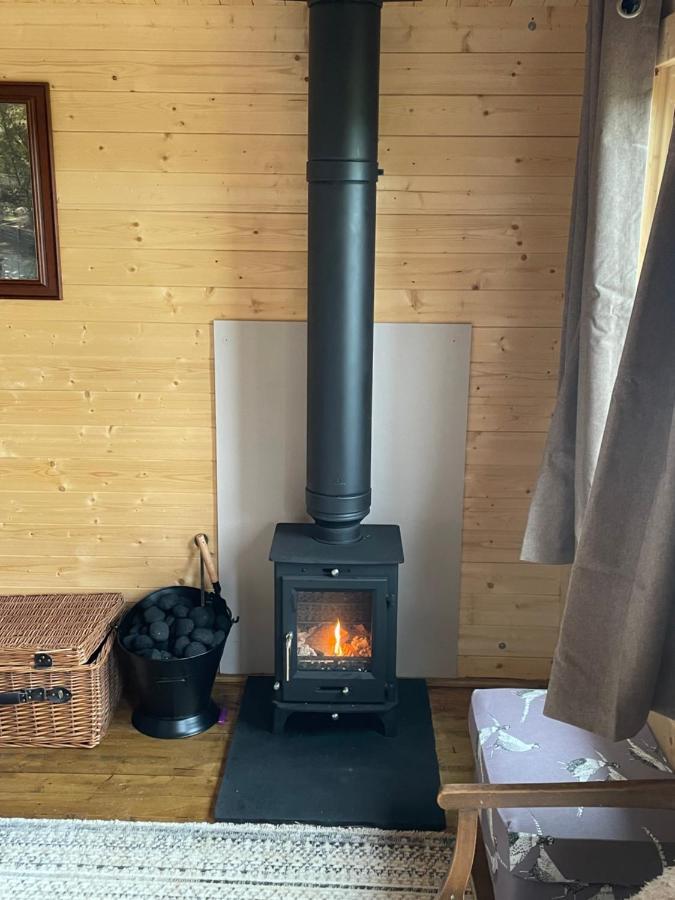 Cosy Cabin In Annie'S Meadow West Meon Exteriör bild
